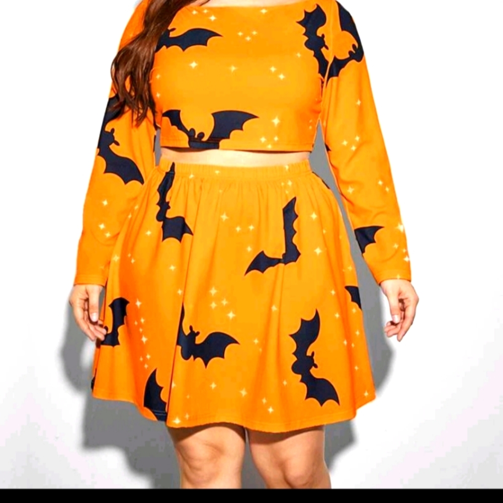 Two piece skater skirt set